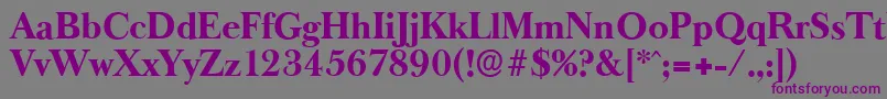 BaskeroldserialXboldRegular Font – Purple Fonts on Gray Background