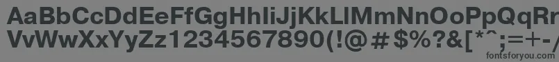 UkrainianpragmaticaBold Font – Black Fonts on Gray Background