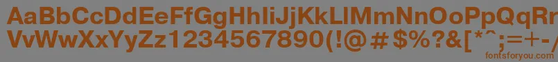 フォントUkrainianpragmaticaBold – 茶色の文字が灰色の背景にあります。