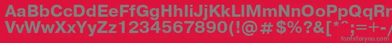 フォントUkrainianpragmaticaBold – 赤い背景に灰色の文字