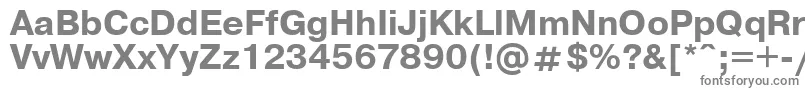 フォントUkrainianpragmaticaBold – 白い背景に灰色の文字