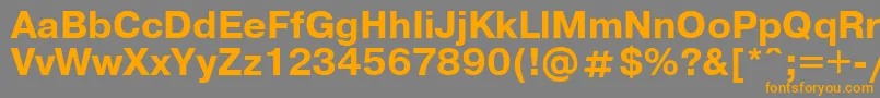 フォントUkrainianpragmaticaBold – オレンジの文字は灰色の背景にあります。