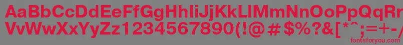 フォントUkrainianpragmaticaBold – 赤い文字の灰色の背景