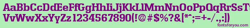 EnschedeBold Font – Purple Fonts on Green Background