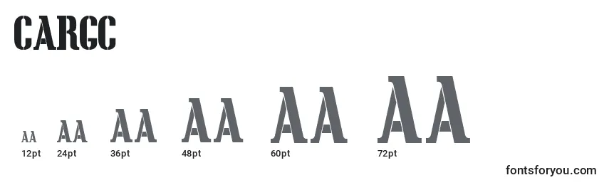 Cargc Font Sizes