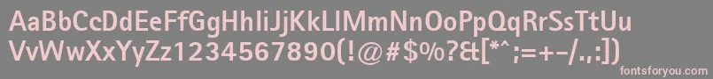 Agfarotissansserifextrabold Font – Pink Fonts on Gray Background