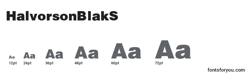 HalvorsonBlakSemibld Font Sizes