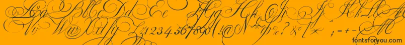 EkaterinaVelikayaOne-Schriftart – Schwarze Schriften auf orangefarbenem Hintergrund