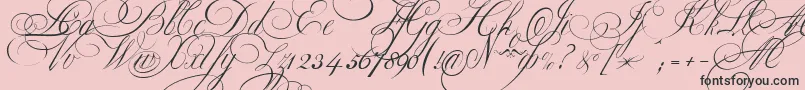 EkaterinaVelikayaOne Font – Black Fonts on Pink Background