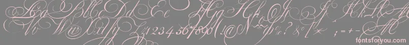 EkaterinaVelikayaOne Font – Pink Fonts on Gray Background