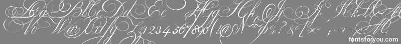 EkaterinaVelikayaOne Font – White Fonts on Gray Background