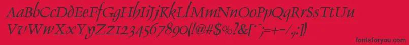 DolphinItalic Font – Black Fonts on Red Background