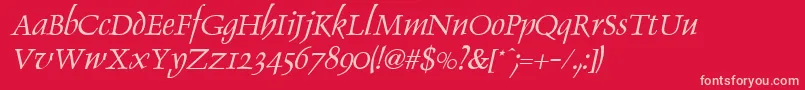 DolphinItalic Font – Pink Fonts on Red Background