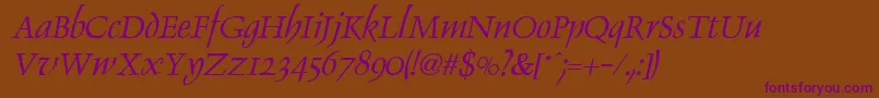 DolphinItalic Font – Purple Fonts on Brown Background