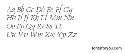 DolphinItalic Font