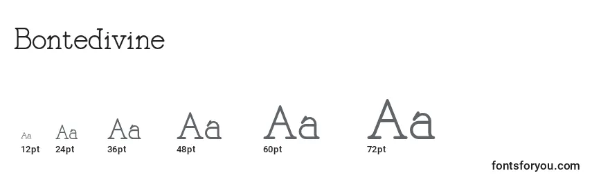 Размеры шрифта Bontedivine