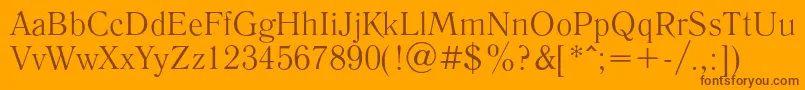 LiteraturnayaRegular Font – Brown Fonts on Orange Background