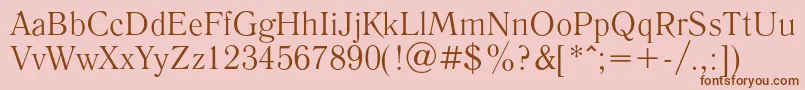LiteraturnayaRegular Font – Brown Fonts on Pink Background