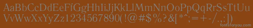 LiteraturnayaRegular-fontti – harmaat kirjasimet ruskealla taustalla