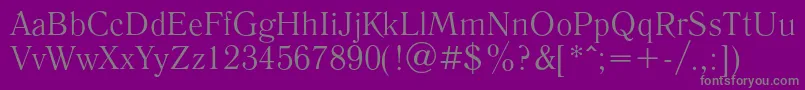 LiteraturnayaRegular Font – Gray Fonts on Purple Background