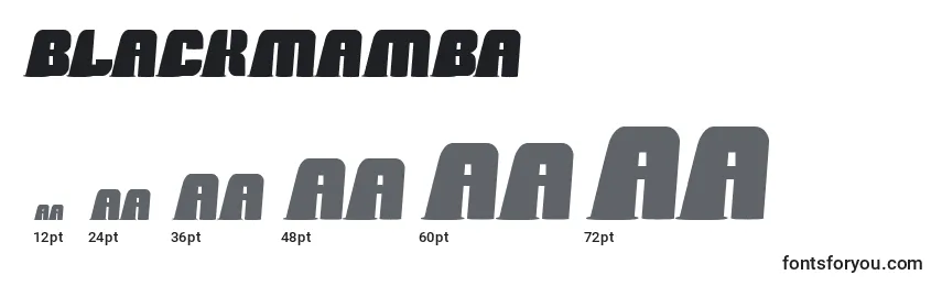Размеры шрифта BlackMamba