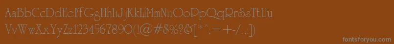 UniversityCyrillic Font – Gray Fonts on Brown Background