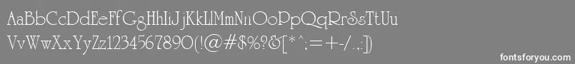 UniversityCyrillic Font – White Fonts on Gray Background