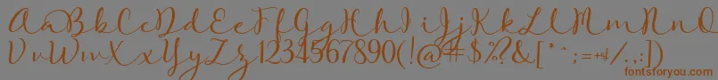 RoseOfBaltimore Font – Brown Fonts on Gray Background