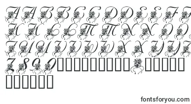 LmsKatysBouquet font – Fonts Flowers
