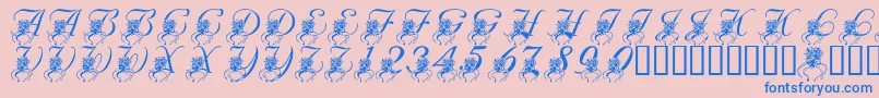LmsKatysBouquet Font – Blue Fonts on Pink Background
