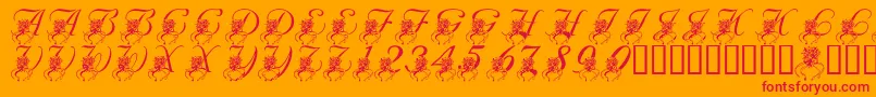 フォントLmsKatysBouquet – オレンジの背景に赤い文字