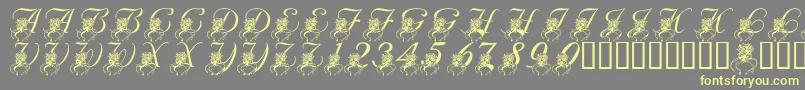 LmsKatysBouquet Font – Yellow Fonts on Gray Background