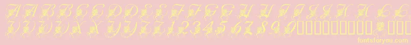 LmsKatysBouquet Font – Yellow Fonts on Pink Background