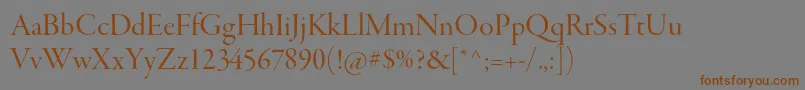 GaramondpremrproDisp Font – Brown Fonts on Gray Background