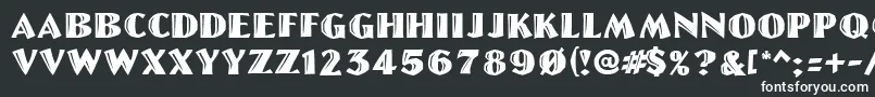 フォントLinoletterCutRegular – 黒い背景に白い文字