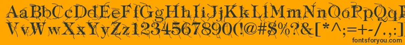 TypographyTiesRegular Font – Black Fonts on Orange Background