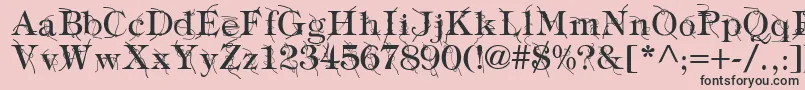 TypographyTiesRegular Font – Black Fonts on Pink Background