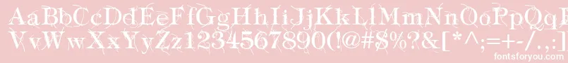 TypographyTiesRegular-Schriftart – Weiße Schriften auf rosa Hintergrund