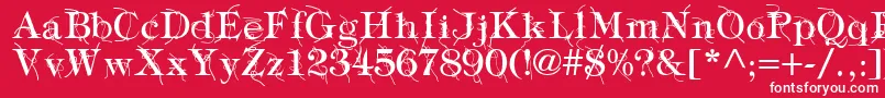 TypographyTiesRegular Font – White Fonts on Red Background