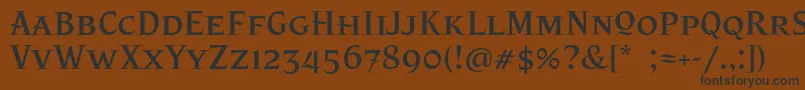 フォントPatzcuaroOt – 黒い文字が茶色の背景にあります