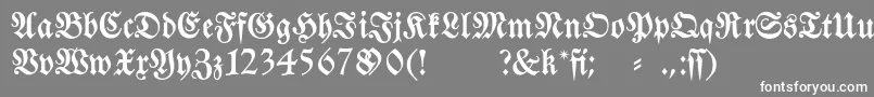 Fraktura Font – White Fonts on Gray Background