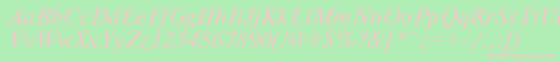 Nwti Font – Pink Fonts on Green Background