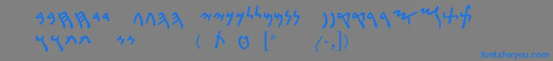 フォントPunicLdr – 灰色の背景に青い文字