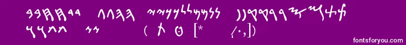 フォントPunicLdr – 紫の背景に白い文字