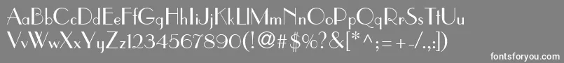 ToucheSsi Font – White Fonts on Gray Background