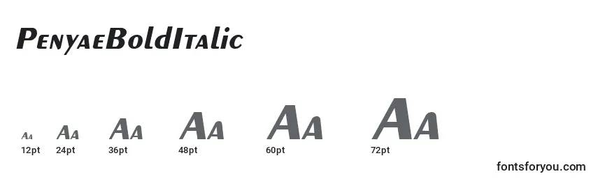 Размеры шрифта PenyaeBoldItalic
