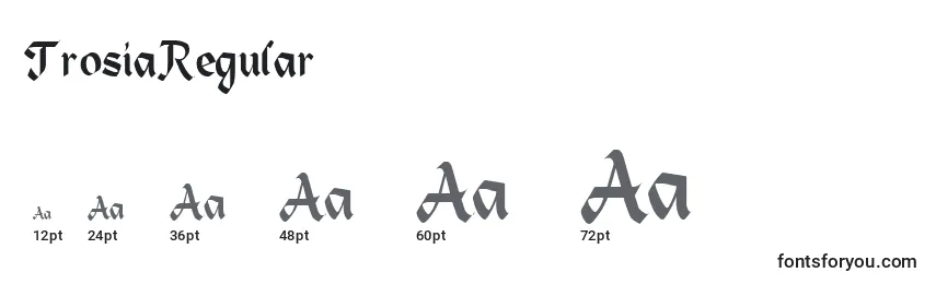 Размеры шрифта TrosiaRegular