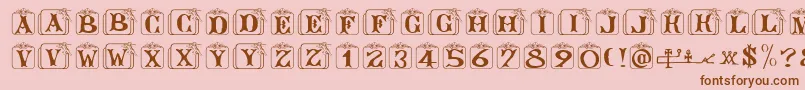 Angelots Font – Brown Fonts on Pink Background