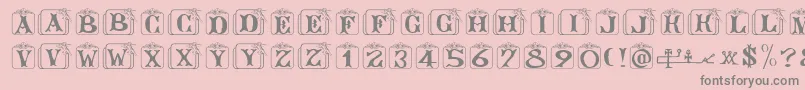 Angelots Font – Gray Fonts on Pink Background