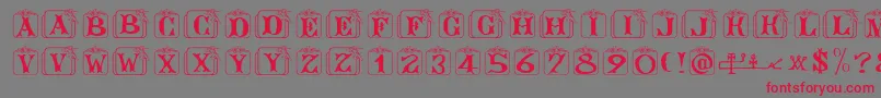 Angelots Font – Red Fonts on Gray Background